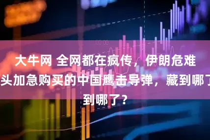 大牛网 全网都在疯传，伊朗危难关头加急购买的中国鹰击导弹，藏到哪了？